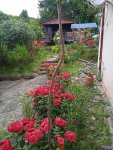 IMG_20230531_171432_1_hsRuo0od6x.jpeg