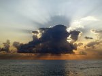 IMG_1410.jpeg