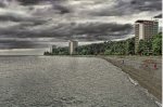 IMG_1446.jpeg