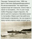 IMG_1517.jpeg