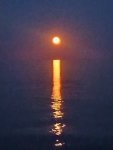IMG_20230703_205548.jpg
