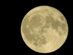 IMG_0283.JPG