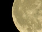 IMG_0285.JPG