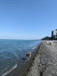 IMG_20230704_103920_506.jpg