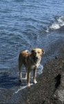 IMG_1558.jpeg