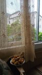 IMG_20230618_112411_resize_17.jpg