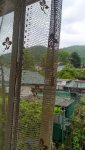 IMG_20230618_110844_resize_18.jpg