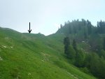 P1030977 - копия.JPG