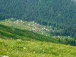P1110510 - копия - копия.JPG