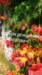 IMG_20230709_134347_resize_32.jpg