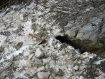 P1110531 - копия.JPG
