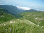 P1110541 - копия.JPG