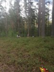 IMG-20230728-WA0000_resize_8.jpg