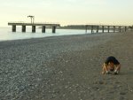 DSCN2315.jpg