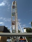 IMG-20230801-WA0001.jpg