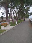 IMG-20230801-WA0108.jpg