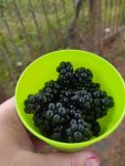 IMG-20230803-WA0043.jpg