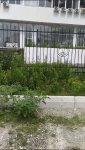 VideoCapture_20230803-171841.jpg