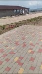 VideoCapture_20230803-171613.jpg