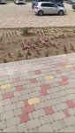 VideoCapture_20230803-171706.jpg