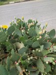 IMG-20230803-WA0044.jpg