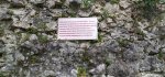 IMG-20230808-WA0049.jpg