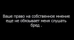 бред.jpg
