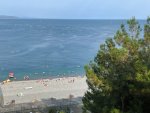 IMG_2314.jpeg