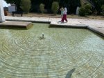 IMG_2387.jpeg