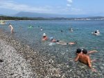 IMG_2355.jpeg