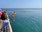 IMG_2375.jpeg