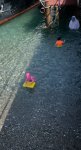 IMG_2417.jpeg