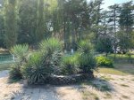 IMG_2400.jpeg