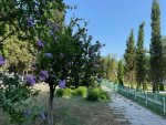 IMG_2394.jpeg