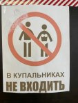 IMG_2411.jpeg
