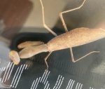 IMG_2430.jpeg