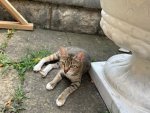 IMG_2476.jpeg