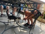 IMG_2482.jpeg