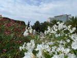IMG_2485.jpeg