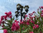 IMG_2472.jpeg