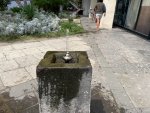 IMG_2488.jpeg