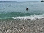 IMG_2441.jpeg