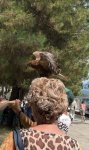 IMG_2497.jpeg