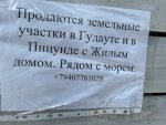 IMG_2495.jpeg