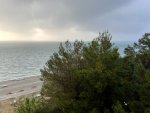 IMG_2499.jpeg