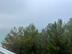 IMG_2509.jpeg