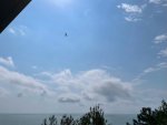 IMG_2523.jpeg