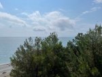IMG_2524.jpeg