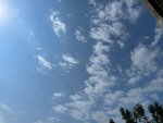 IMG_2527.jpeg