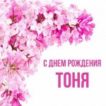 картинка-Тоня-С-днем-рождения-579.jpg